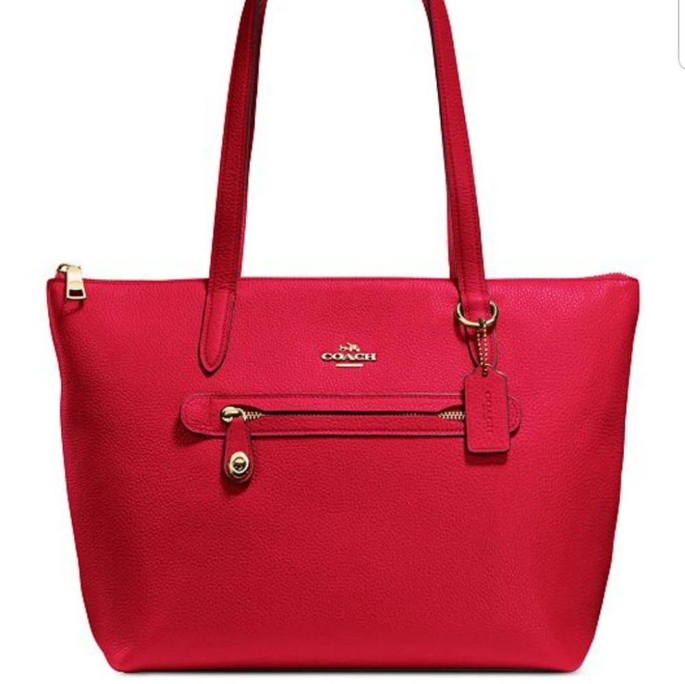 Designer luxury handbag